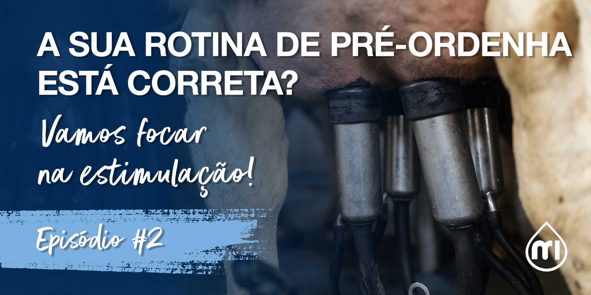 A sua rotina de pré-ordenha está correta? – Parte 2: Vamos focar na estimulação! 