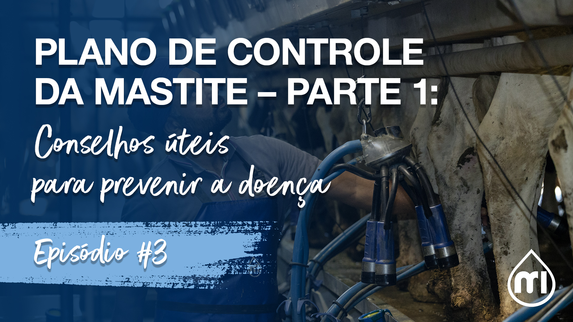 Plano de controle da mastite