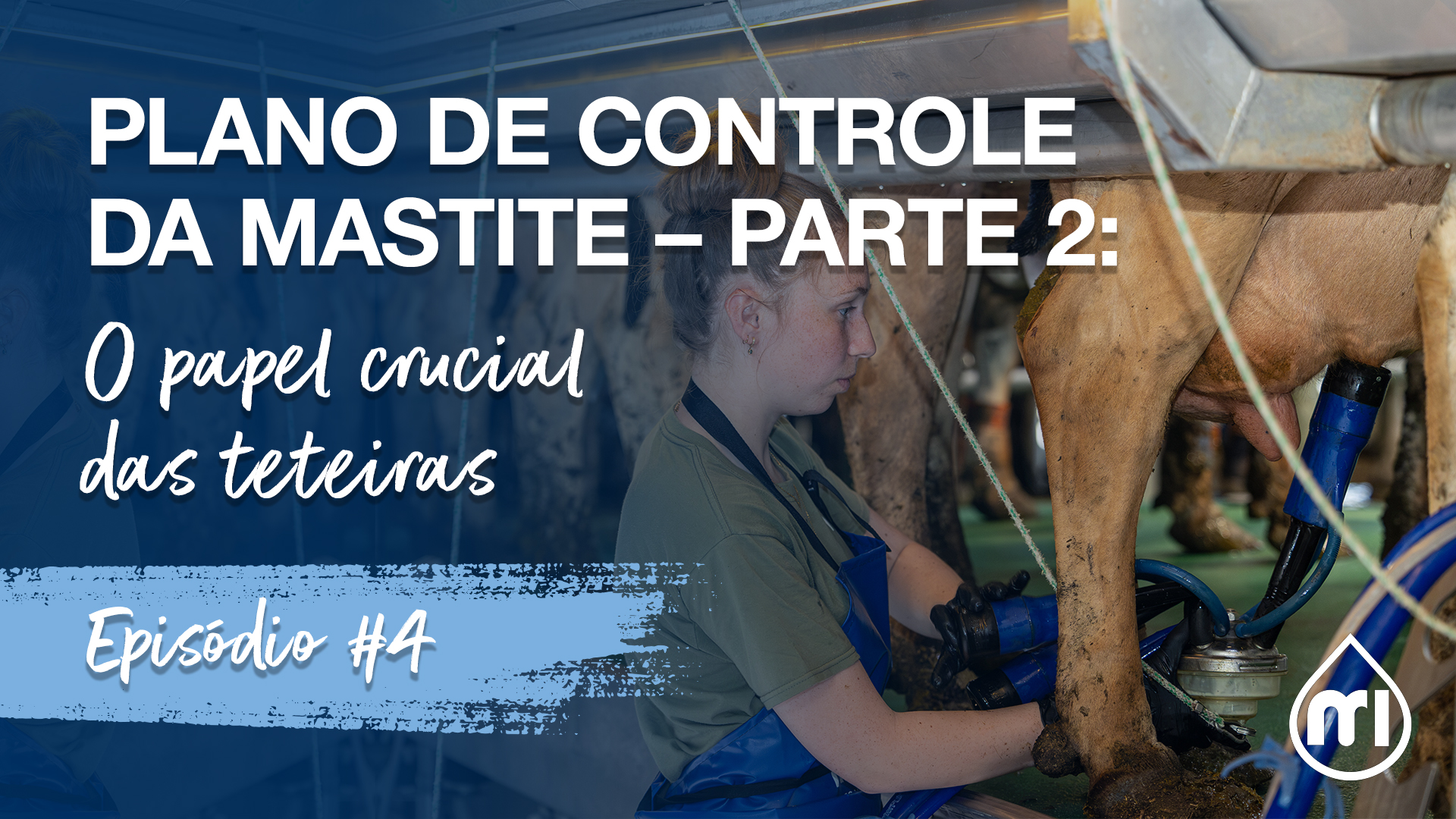 Plano de Controle da Mastite – parte 2: o papel crucial das teteiras