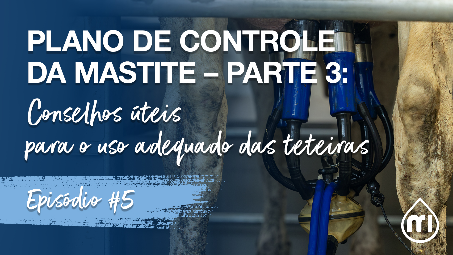 Plano de Controle da Mastite – parte 3: conselhos úteis para o uso adequado das teteiras