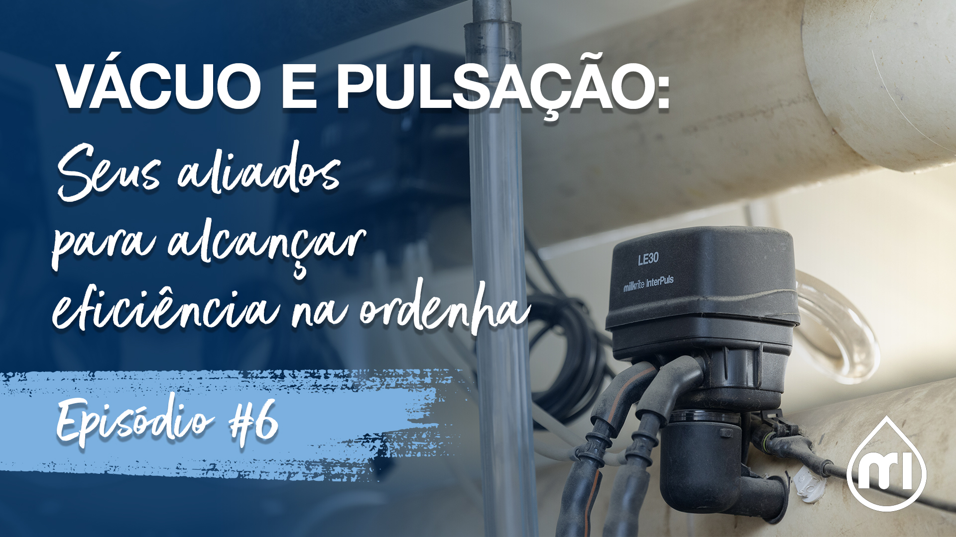 Vácuo e Pulsação: seus aliados para alcançar eficiência na ordenha