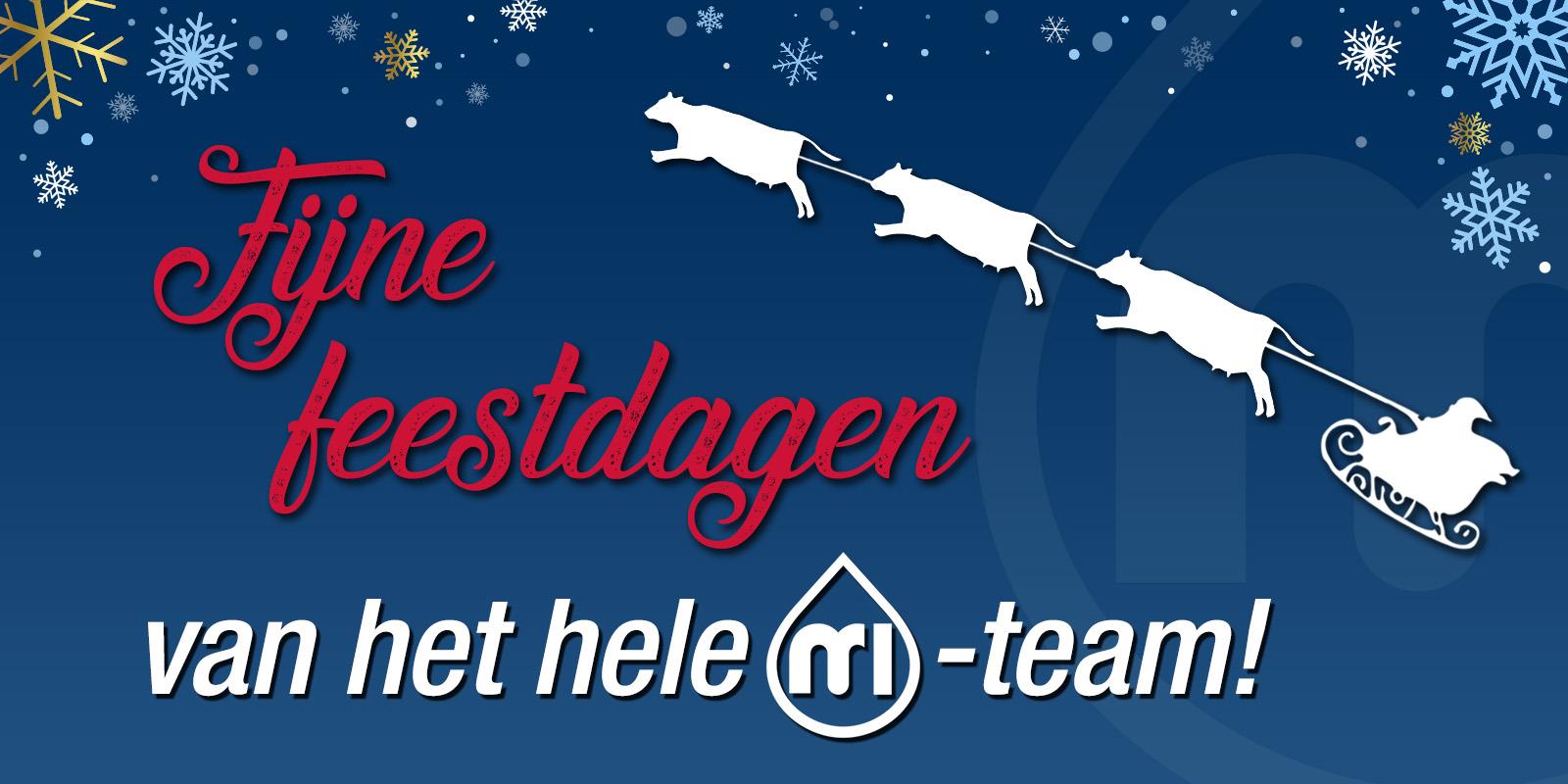 Christmas Banner NED